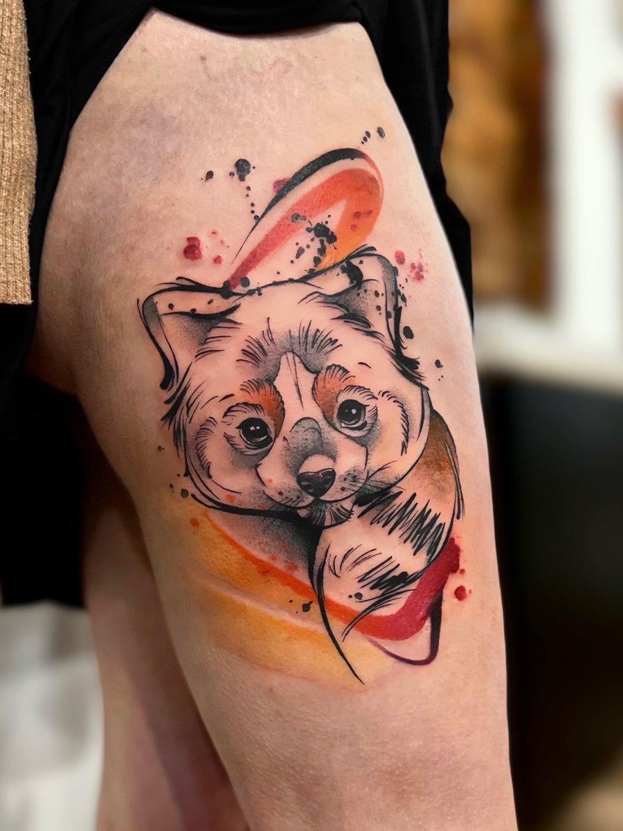 Oliwia Pasko-tatuaż-pandaczerwona-zwierze-Dotwork-Graficzny / Sketch-Watercolor