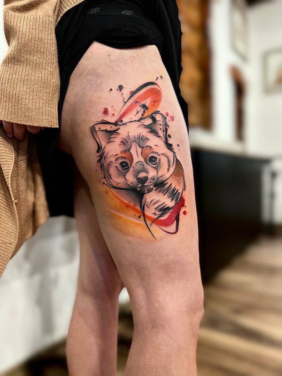 Oliwia Pasko-tatuaż-pandaczerwona-zwierze-Dotwork-Graficzny / Sketch-Watercolor