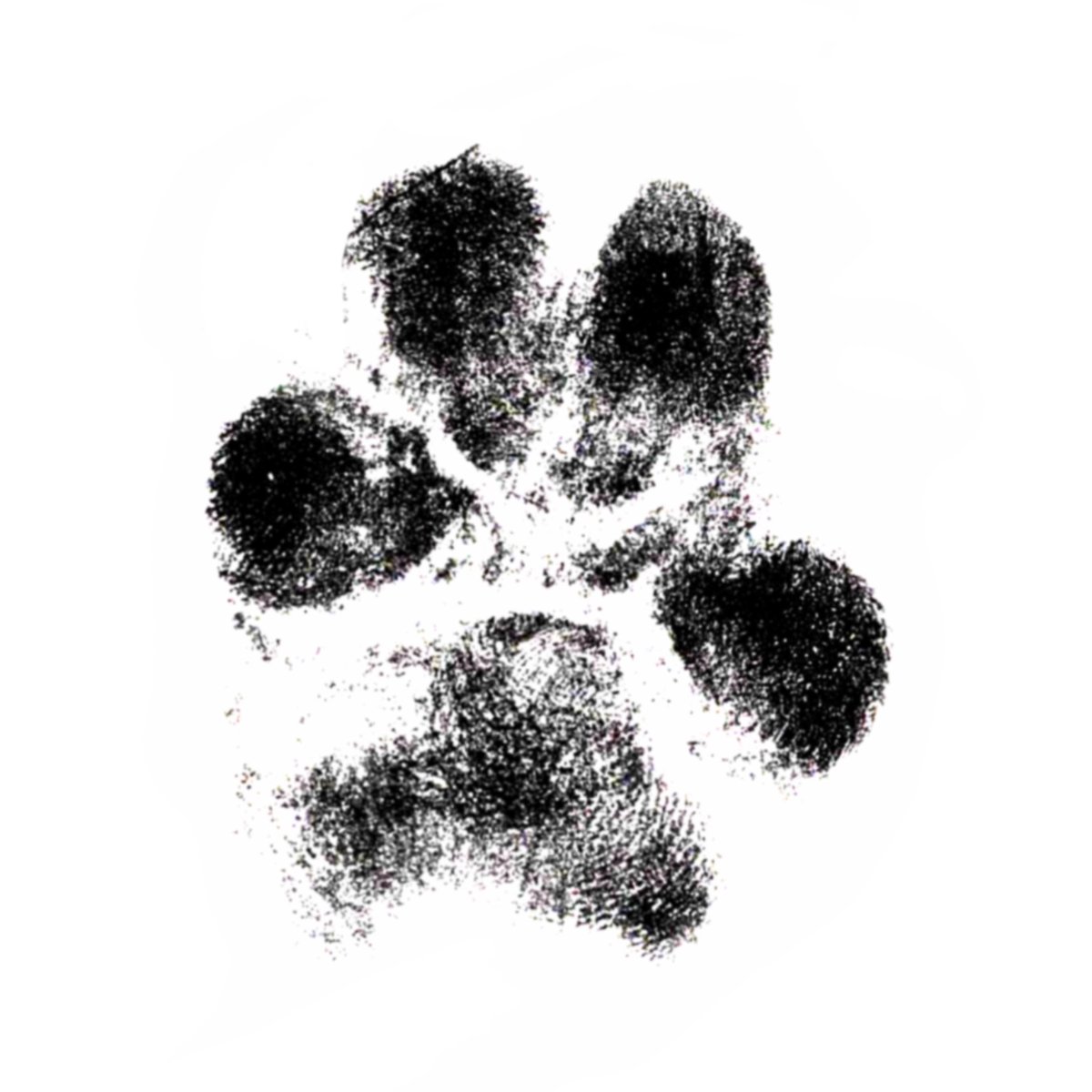 Honorata Gawryś-tatuaż-Dotwork