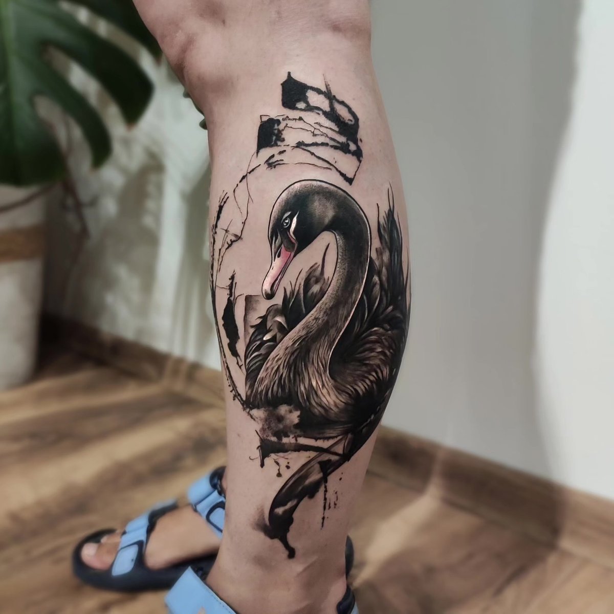 Tomasz Fabia-tatuaż-swan-łabędź-Black & Grey-Realizm