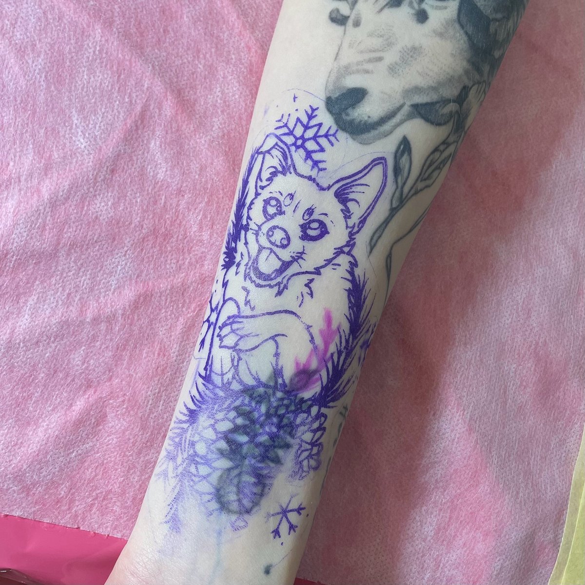 Sharo-tatuaż-cover-pies-Dotwork