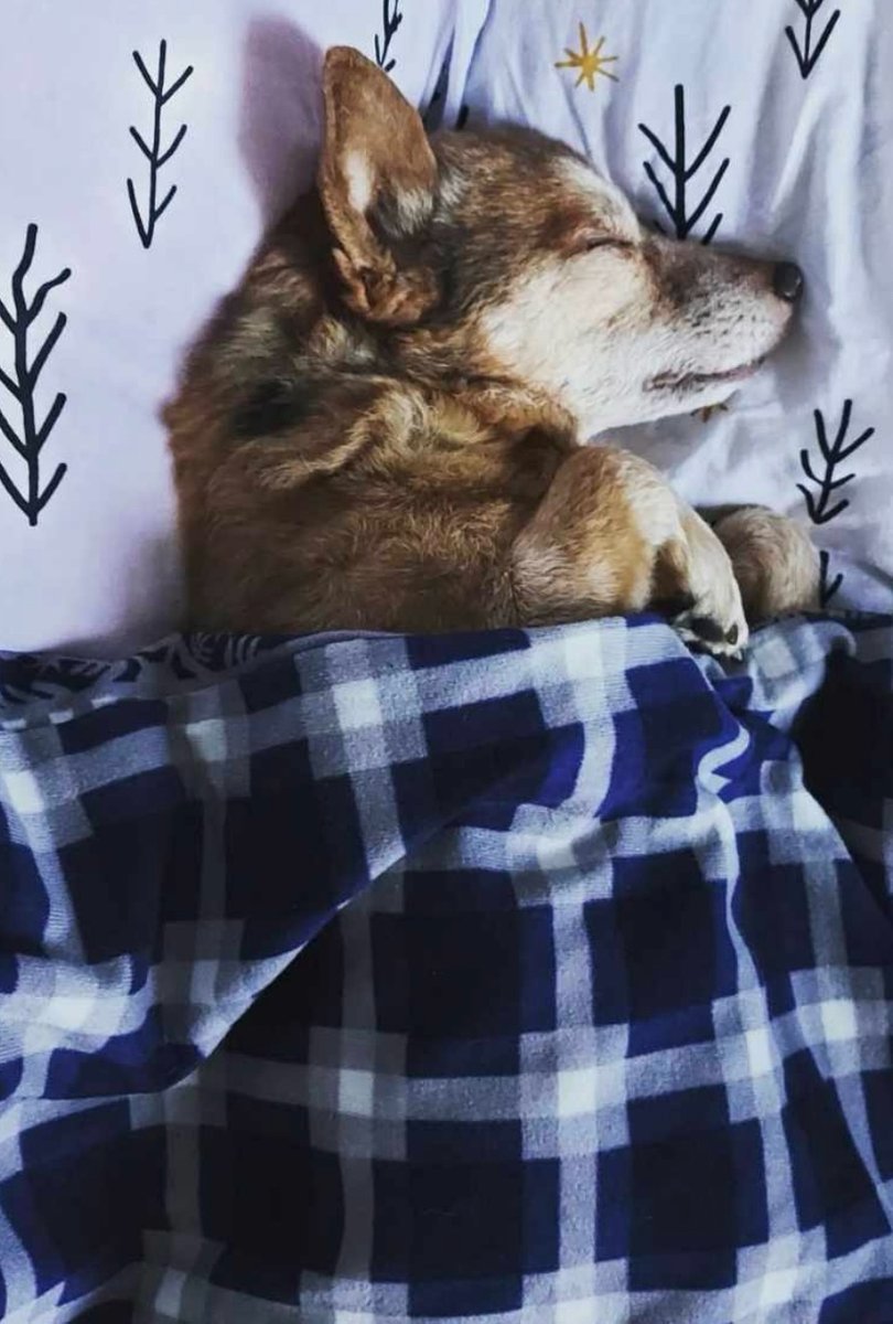 INKwazja-tatuaż-Graficzny / Sketch