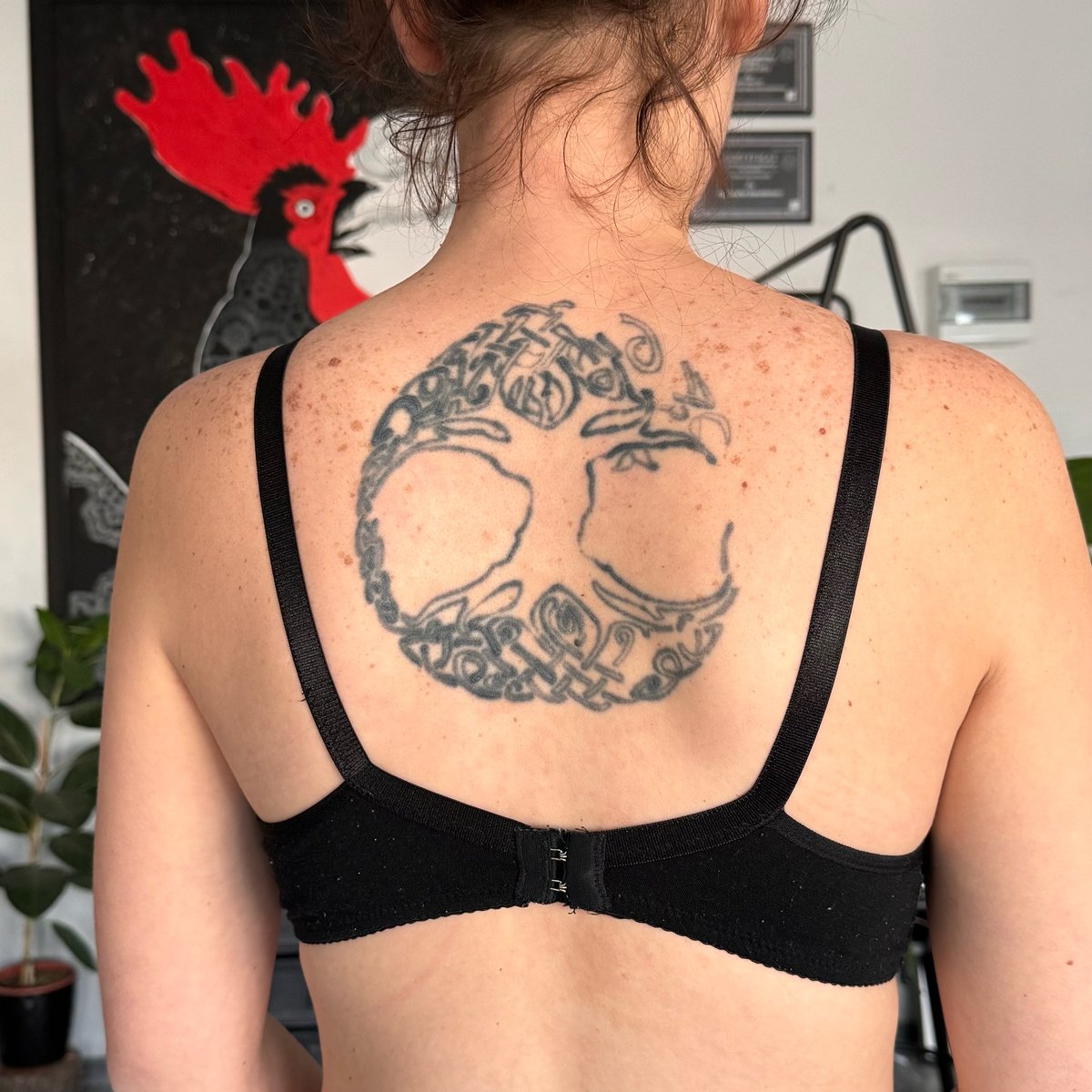 Agnieszka Stanielewicz-tatuaż-coverup-jaskółki-Graficzny / Sketch-Neo-tradycyjny-Watercolor