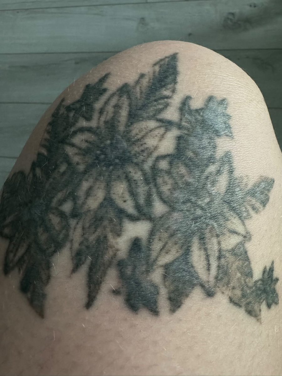 Keroina-tatuaż-Dotwork-Graficzny / Sketch-Watercolor