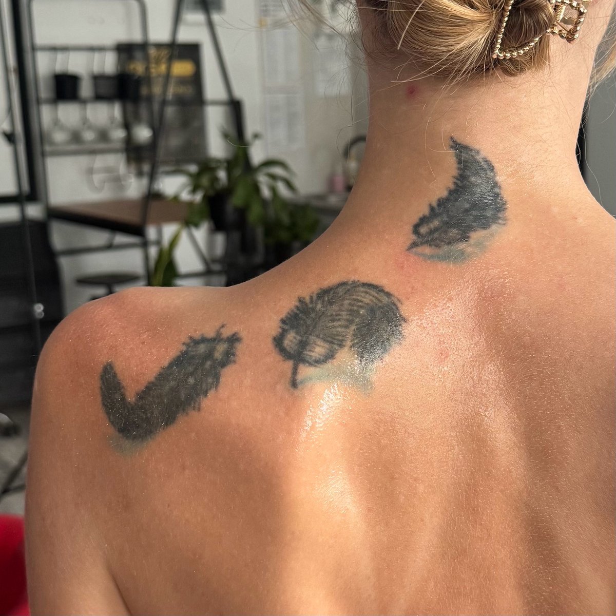 Agnieszka Jarosz-tatuaż-cover-jaskółka