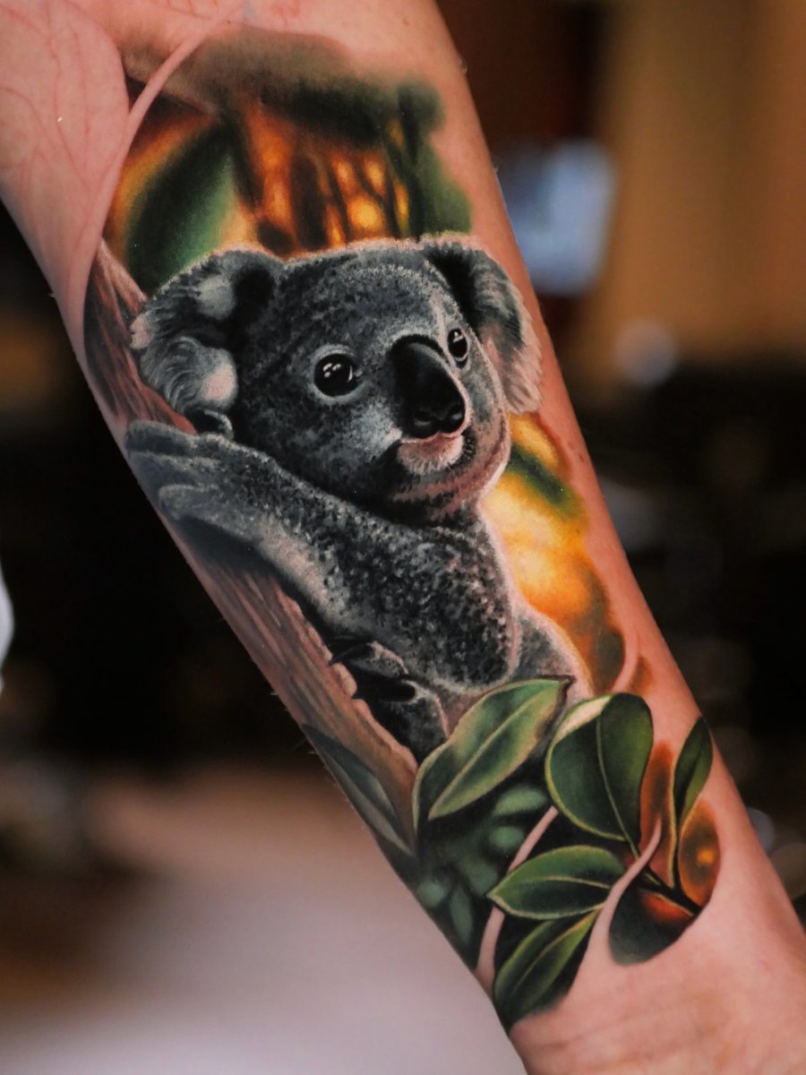 Paula Art-tatuaż-koala-coverup-Realizm