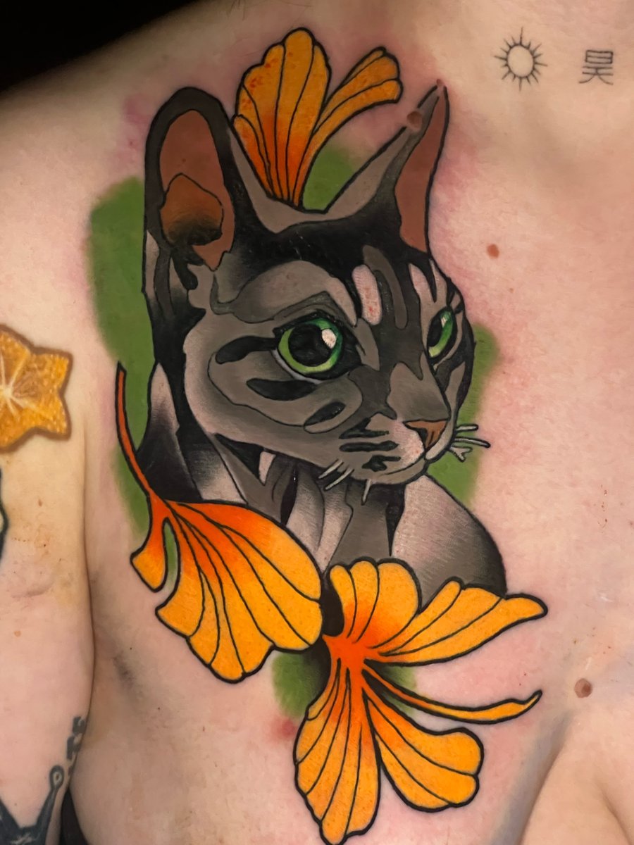 Kordian Betcher-tatuaż-kot-devon-Neo-tradycyjny