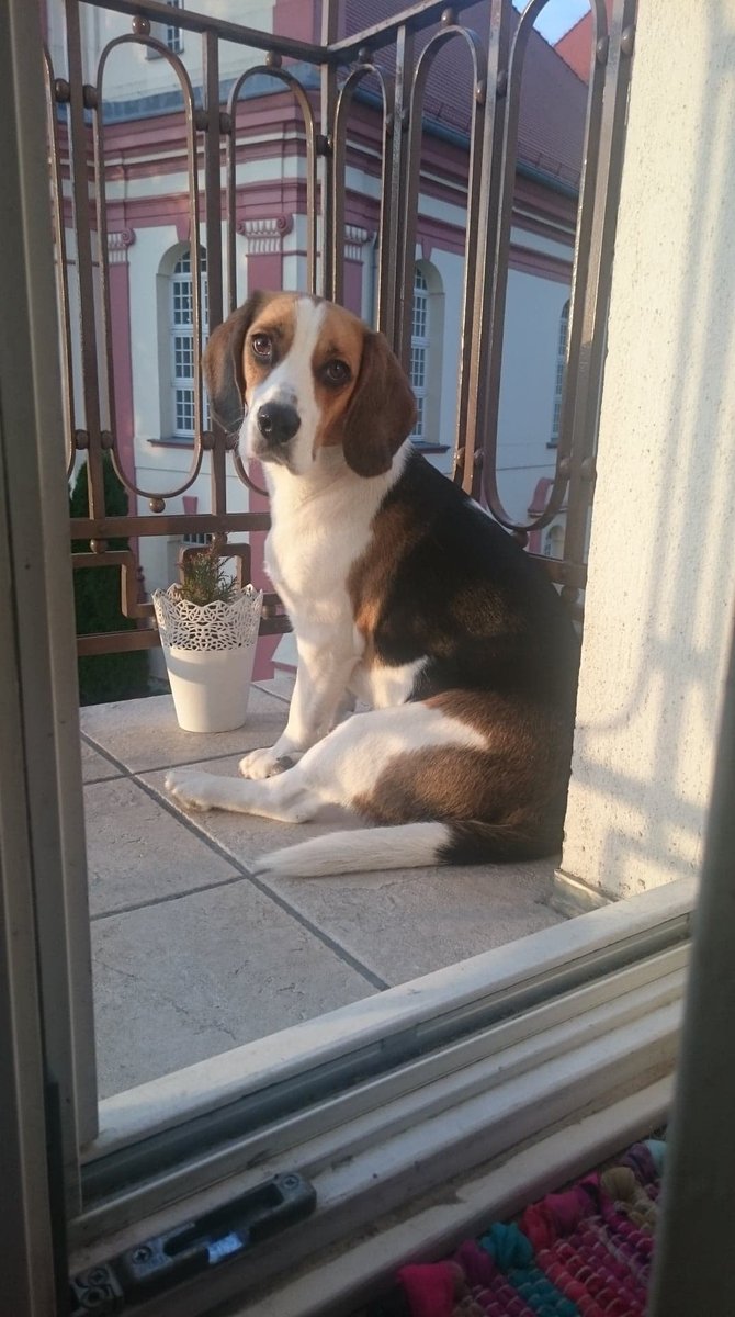 Cruel Monica-tatuaż-Traditional / Oldschool